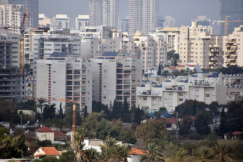 从Ariel Sharon Park发回的报道